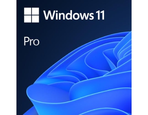 Win 11 Professional by Microsoft